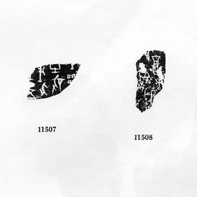 《甲骨文合集》第11507、11508號甲骨片