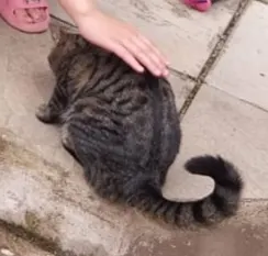 阿！這是什麼失禮的照片阿！我竟然被她摸？（雖然我很喜歡）