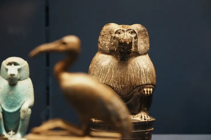 很喜歡埃及的狒狒，很有趣