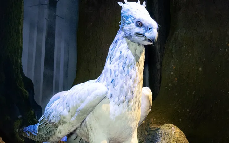 鷹馬巴嘴(Buckbeak)