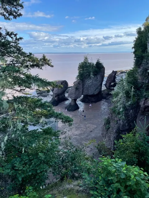 Bay of Fundy National Park： New Brunswick 