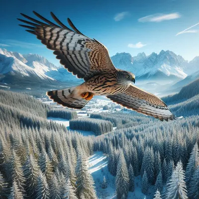 臉書同名粉絲頁