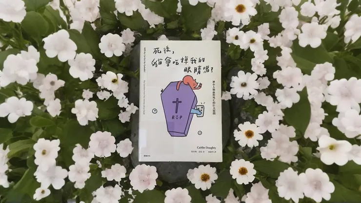 Photo by 梧椿、Pebblely、clipdrop