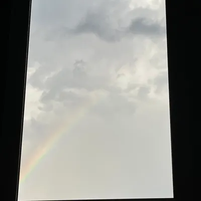 被踢踢的人生探索之旅🧳