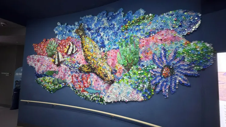 淨灘的瓶蓋完成的畫作