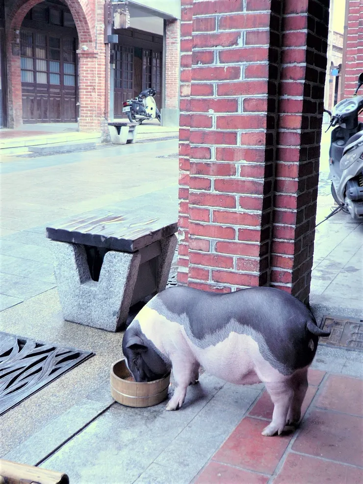 新北市.三峽老街