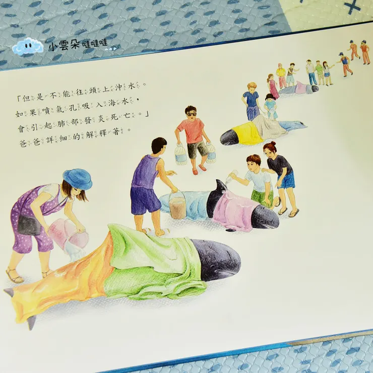 在鯨豚身上蓋上濕毛巾,保持鯨豚皮膚濕潤