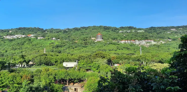 非常幸運，住宿分配到有風景的邊間，支持喜愛青山的我撐過全程閉關。