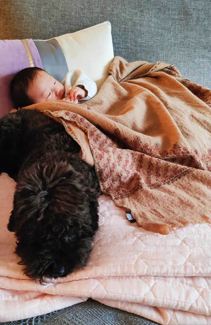 永遠都在身邊的點兒