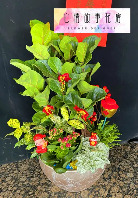台南安南區花店【心情故事花房】：結合強健植栽的多樣化組合盆栽，為室內環境增添活力、美感與長久持續的健康生長
