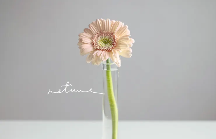 Pexels 上由 Monstera Production 拍攝的相片