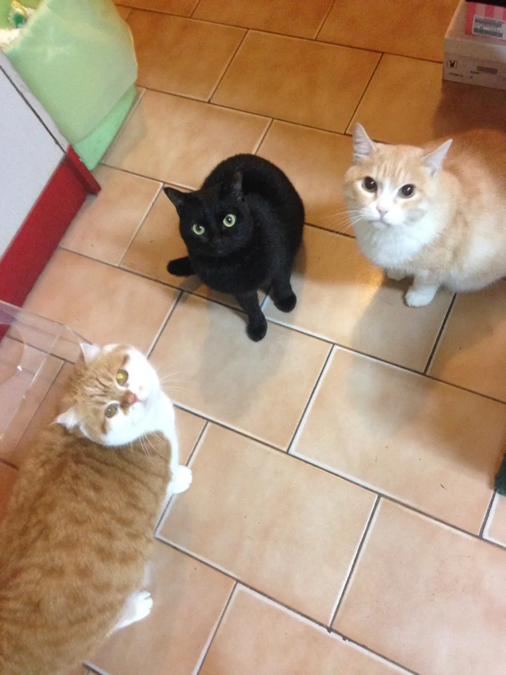 重度憂鬱症患者隨筆與紀錄