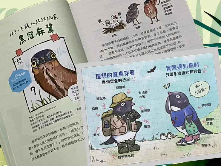 《我家附近的鳥鄰居》之一，黑冠麻鷺