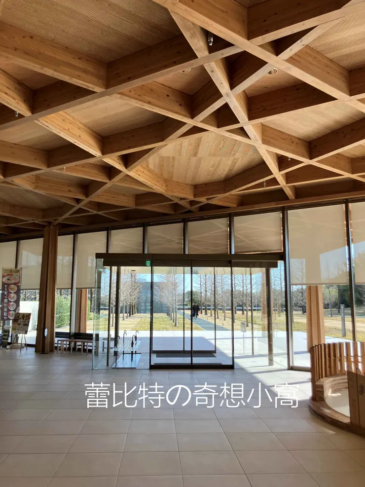 入內後往回看豐田市美術館的身影