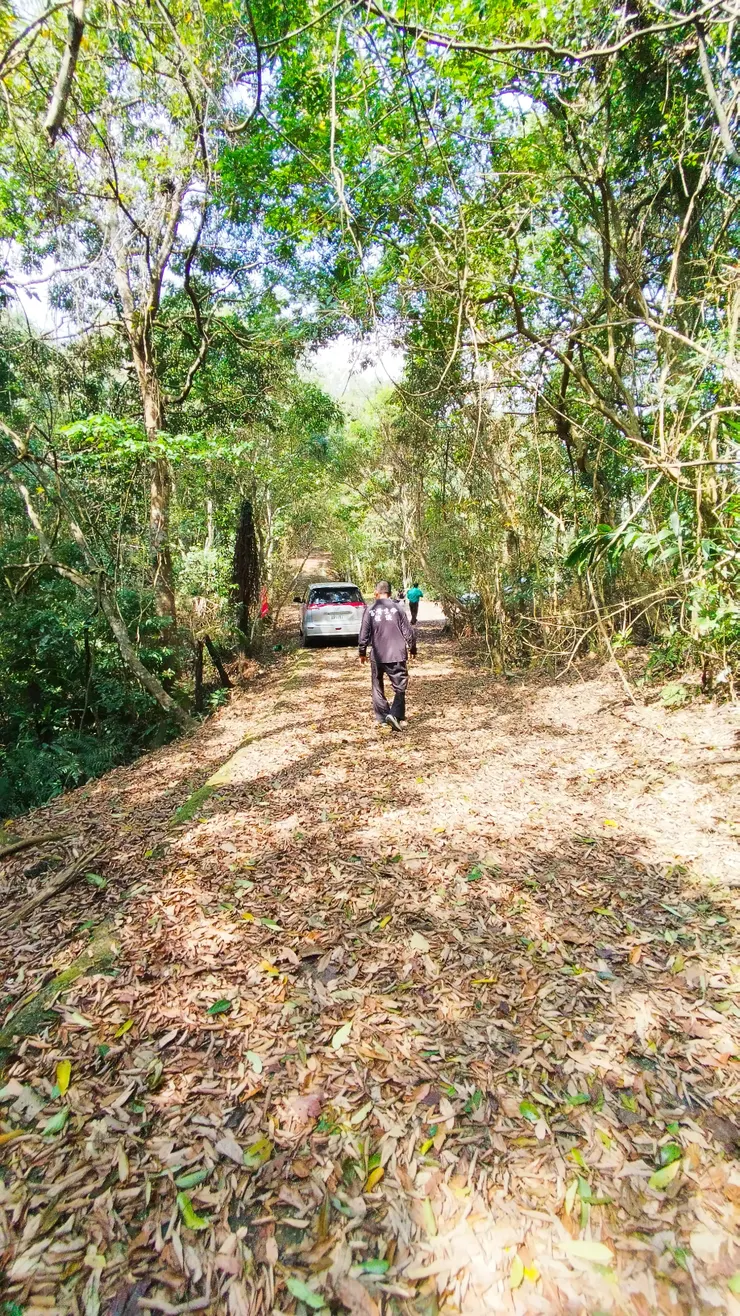 圖說：在陽光與落葉間，我們一起穩步向前。