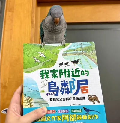 鳥鳥書分享：《我家附近的鳥鄰居》