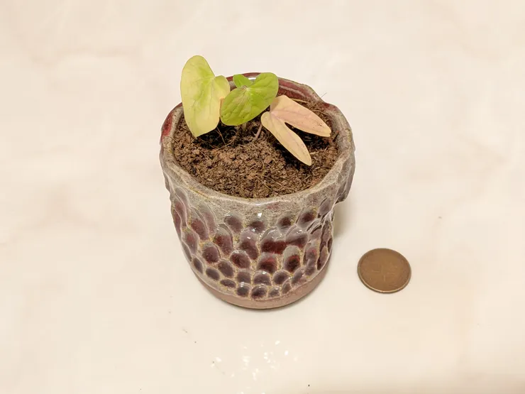 新室友第一天入住