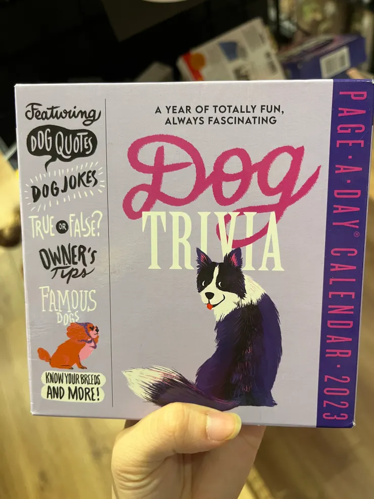 ▲在玩具店看到狗狗桌遊