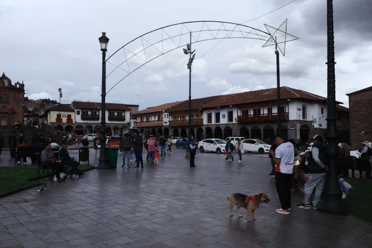 在庫斯科時不時都能看見可愛的狗狗