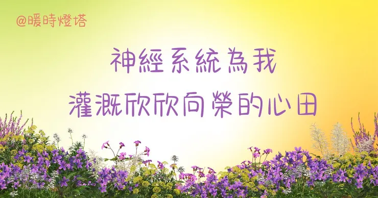 米雅小語