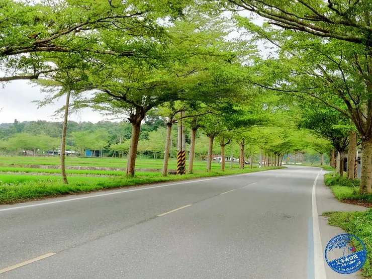 ▲花蓮 193縣道風光▲