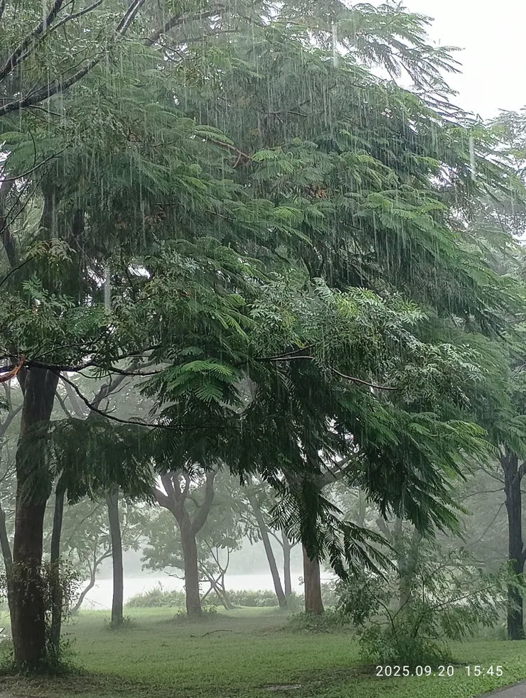 急雨破暖湖濛濛，自拍攝