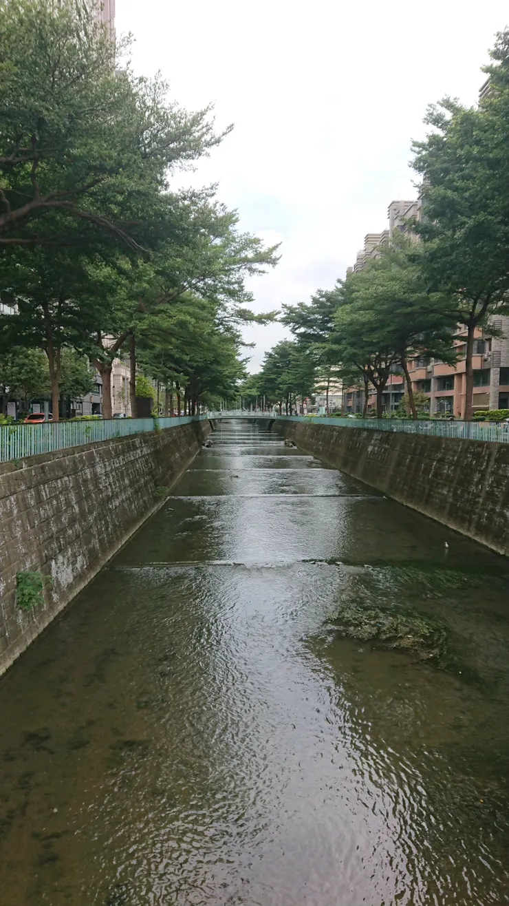 豆仔埔溪中上游