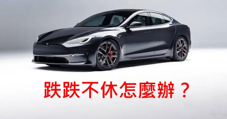 TESLA價格崩跌了