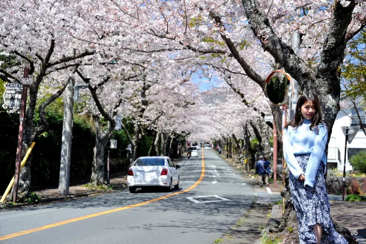 櫻並木通美女側拍