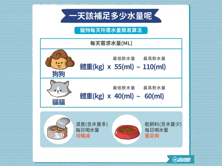 毛孩水分攝取計算| 臭味滾ODOUT