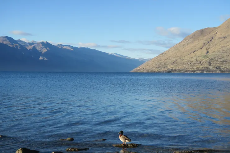 早安，皇后鎮。呱~