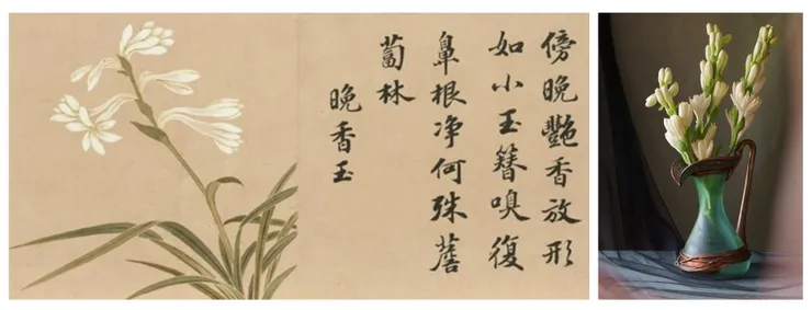 不論歷史東西方，晚香玉的香氣皆受人注目  (圖片 : 故宮典藏、網路)