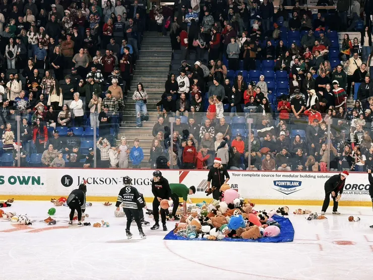 泰迪熊投擲現場！