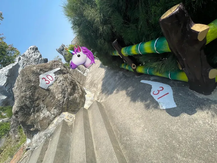 指標31在地上🙃