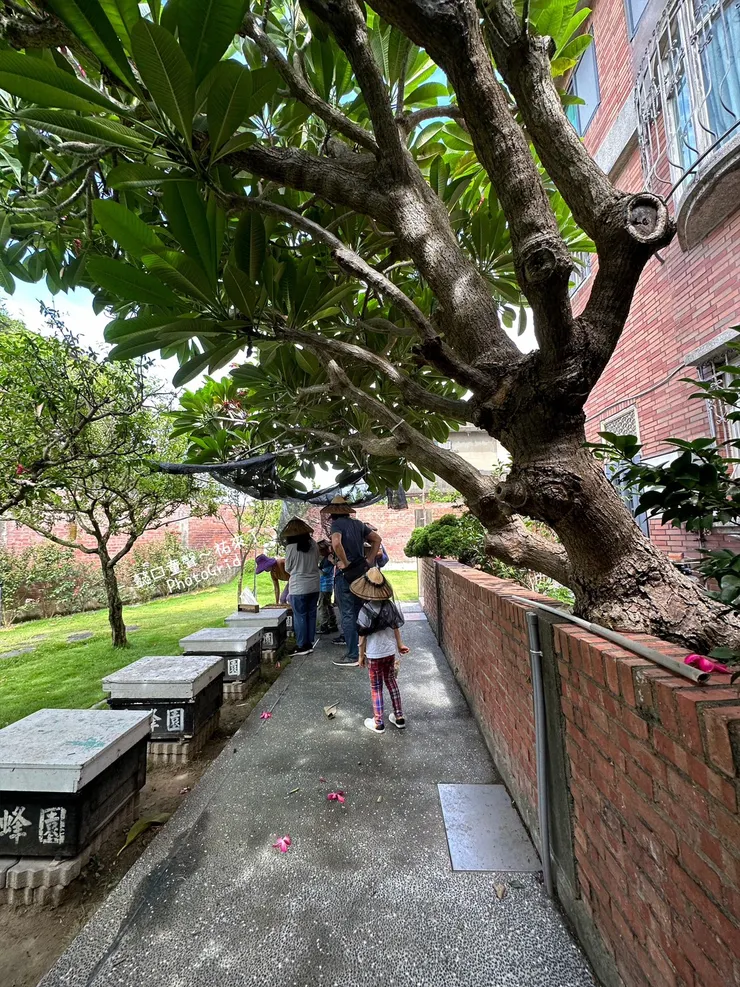 蜜蜂一但消失會嚴重衝擊人類的生活,也會衍變成你我不樂見的全球生態環境失衡。