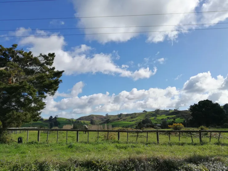 可以輕易看到牛羊的小鎮