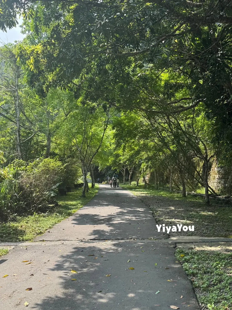 入售票門口後,健行步道為柏油路和碎石路並行,平坦寬廣好走。