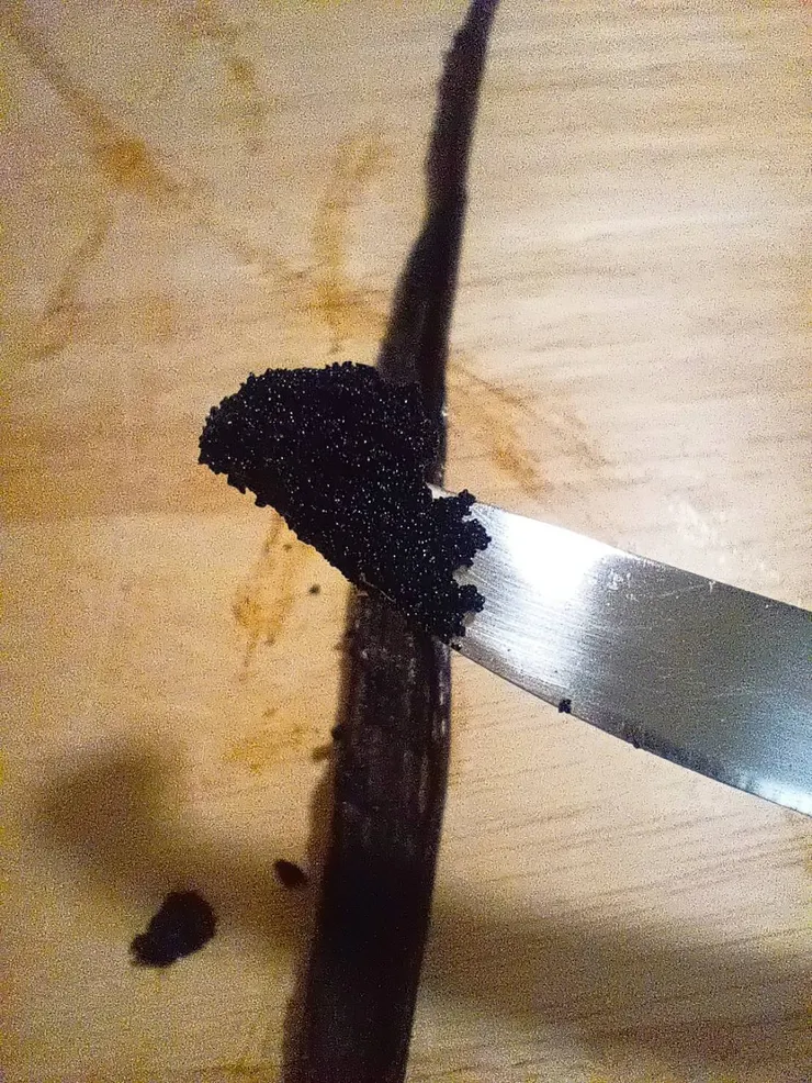 香草部落香草莢