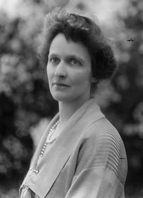 阿斯特夫人，下議院議員, resource from wikipedia