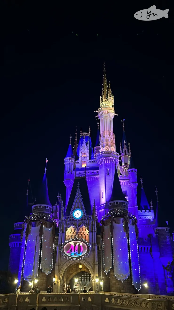 迪士尼40週年！可惜沒有看到煙火