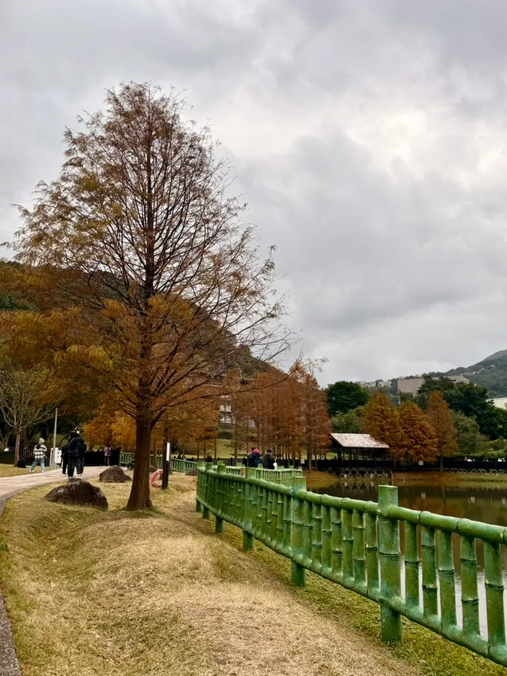 靈魂的孤獨不屬於現在,是一段你已忘記,卻始終在身體裡的等待。