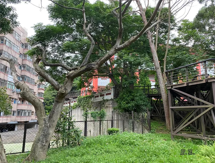 嗚呼哀哉 ([陳傳義]拍攝)