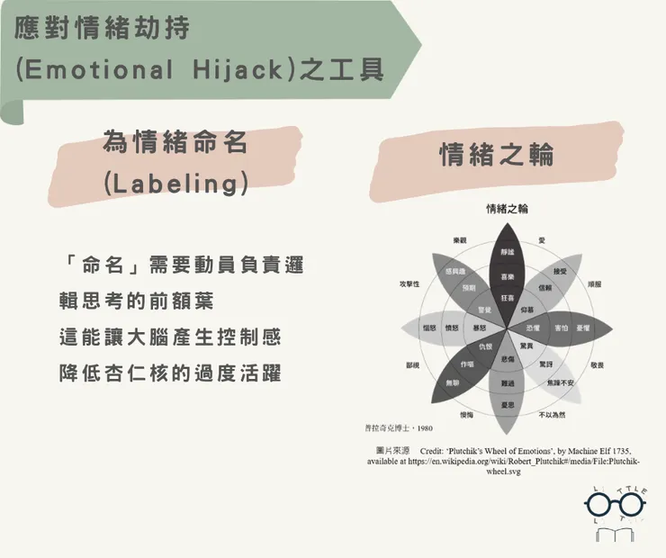 情緒之輪圖片取自於 《 神經可塑性》一書
