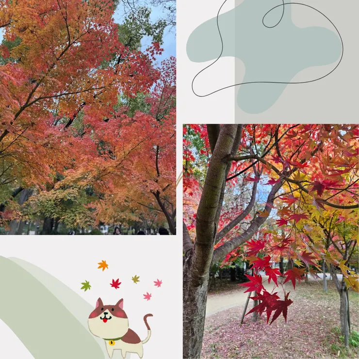 大阪萬博記念公園