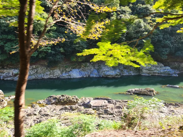 沿途的風景
