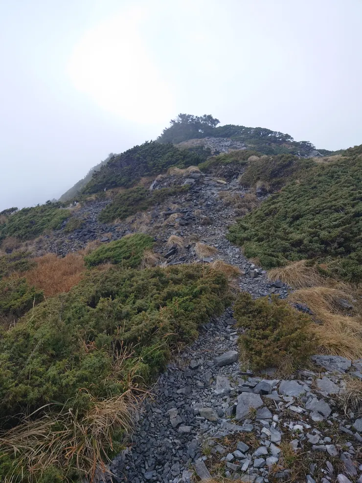 我記得這是其中一個假山頭，與其猜測還有多遠，不如傻傻的、專注當下的走完