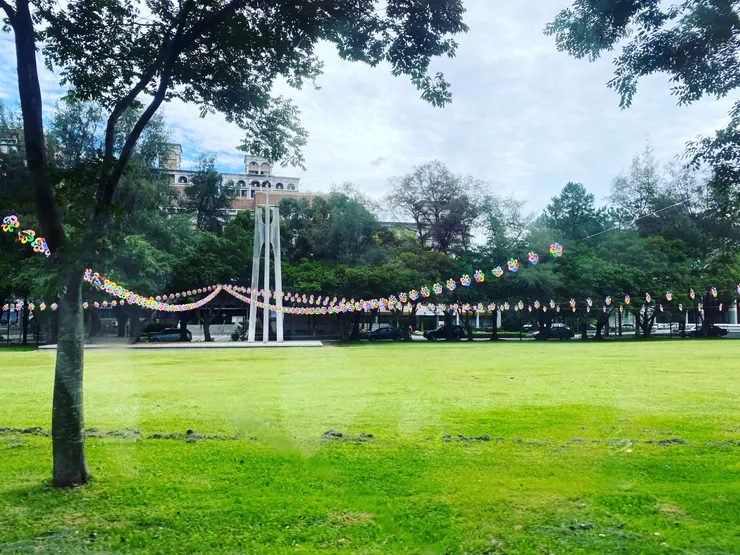 回到校園，感覺充滿了青春和活力