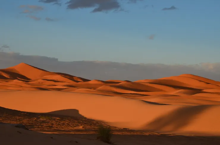 風是撒哈拉的造型師