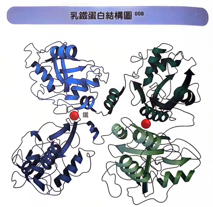 (摘自本書第46頁)