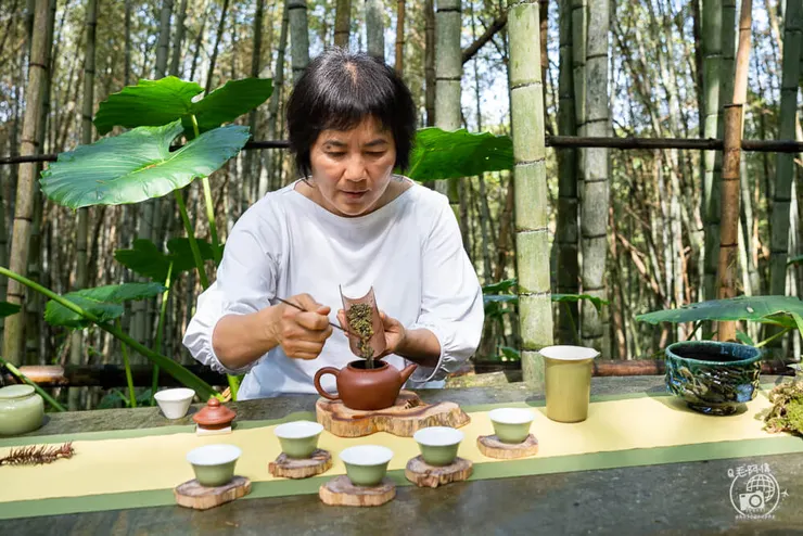 竹林茶席,瑞里茶席,瑞里茶葉,瑞里體驗,瑞里綠色隧道,綠色隧道,瑞里秘境,竹林小徑,瑞里竹林,阿里山秘境,瑞里景點,阿里山景點,嘉義景點,阿里山步道,瑞里步道